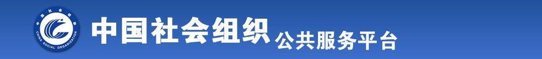 男人大几八插入女人骚逼视频免费播放全国社会组织信息查询